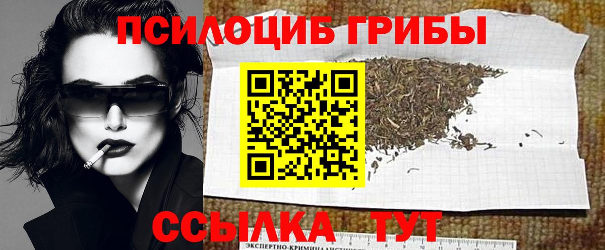 Псилоцибиновые грибы GOLDEN TEACHER Шелехов